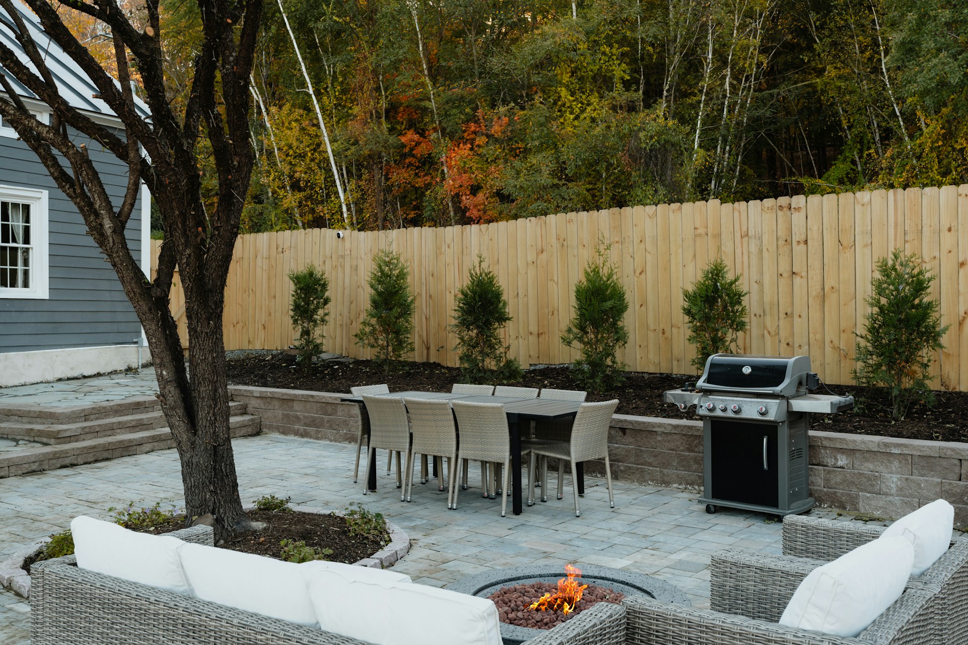 Backyard